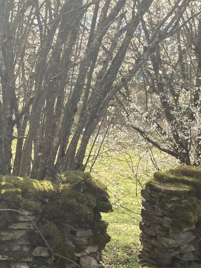 Le Jardin De Theleme "Charme Discret Pour Un Nid Douillet" Villa Mazille Bagian luar foto